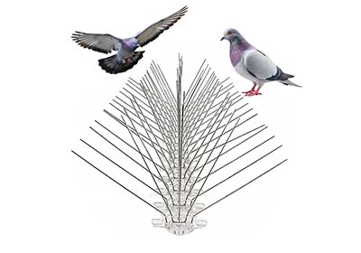 Commercial Pest Control